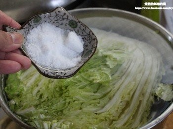 step3: 將洗乾淨的韓國大白菜洗淨放置鍋子裡，用一般食用礦泉水浸泡，雖然是要浸泡的水，但是不可能用自來水來用醃製，再來倒入準備好的粗鹽。