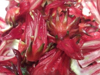 step2: 洛神花去籽備用。