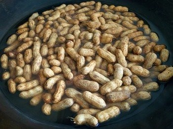 step1: 用鑊煲滾熱水，然後加少許鹽，再把洗乾淨的新鮮花生放進鑊裡白烚至熟。