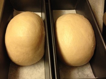 step6: 進行第2次發酵, 大約45-60分鐘