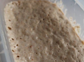 step1: Kefir Starter (1:1)
Kefir Water 80g 
Bread Flour 80g
Keep in Refrigerator overnight