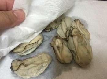 step4: 蠔用廚紙抹乾