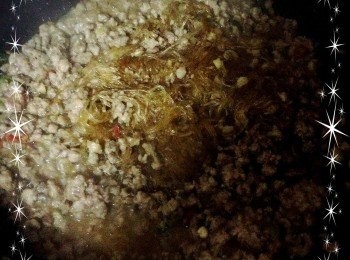 step6: 把泡過水的冬粉放入鍋裡拌炒,等湯汁收乾即可.