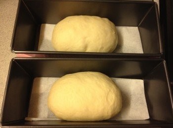 step5: 輕輕用手碌至長條型後放入長型焗盤內 (2個4x7吋的焗盤, 底部放牛油紙)