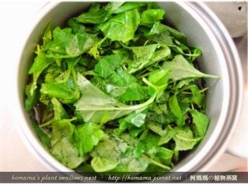 step6: 將屬於嫩莖葉部分的龍葵，也放入至內鍋中，最後再用電鍋蒸煮成粥。