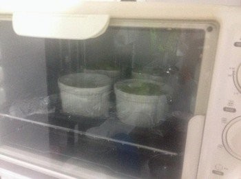 step9: 然後蓋上保鮮紙進行第二次發酵直至2倍大