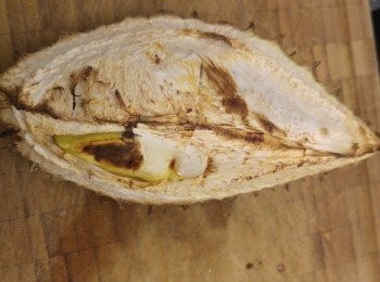 step2: 焗好後打開殼。