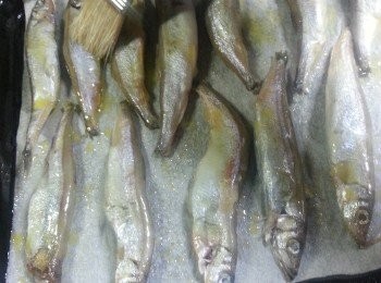 step4: 用焗盤放上牛油紙,將魚排上(亦可以用煎方式,煎魚是比較易散,用焗方式較少油及健康)(用牛油紙<a href="https://cook1cook.com/shop/item/741?utm_source=cook1cook&utm_medium=recipeingredients&utm_campaign=o" target="_blank" data-keyword="多春魚" class="guide-link"><strong>多春魚</strong></a> <span style="display:inline-block;vertical-align:middle;margin-top:-3px;color:initial;border-radius:3px;padding:2px 3px;font-size:12px;line-height:14px;background:#87d300;color:#fff;">即買</span> 不會受熱而痴底)