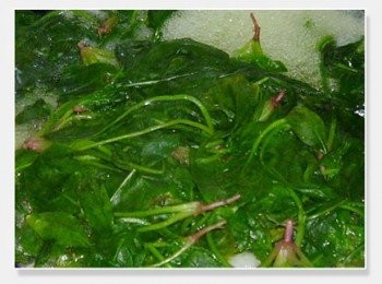 step3: 魚丸浮上來就可以加菠菜了，菠菜買回來的時候最好用水泡個30分鐘，（去根看自己喜歡）現在蔬菜農藥比較多。