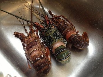 step1: 將龍蝦徹底洗擦乾淨