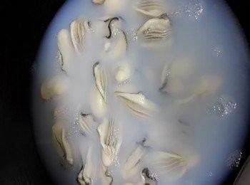 step4: 鍋加水煲滾、倒入生蠔出水2分鐘，撈起隔乾水，備用