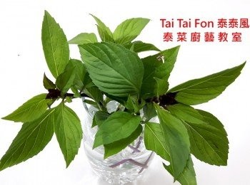 step8: 起鍋前撒一點九層塔