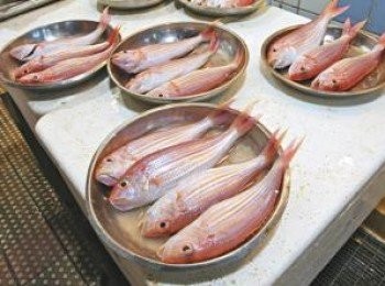 step1: 先將紅衫魚仔洗淨去腸狀掛乾水份入鑊煎熟待涼用手拆肉去骨備用