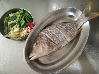 step1: 將青嘴龍占魚【澎湖野生水產】從袋中取出，解凍，將去魚鱗、魚鰓、內臟，並清洗乾淨再於魚背畫刀，辣椒斜切、薑絲切絲、青蔥切段、蒜頭切塊，放於蒸盤上；