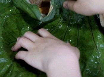 step1: 帶子解凍，用廚房紙吸乾水份。乾荷葉用熱水浸軟，鋪在竹籠上。
