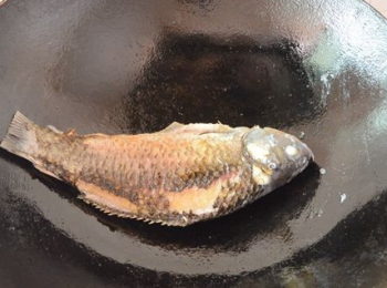 step2: 熱鍋下油，把鯽魚放進鍋裡小火煎，煎至兩面變成微黃色。
