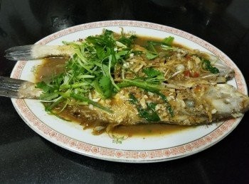 step8: 先用肉骨茶塗抹沙鯭醃 30 分鐘入味。

將沙鯭上少少生粉 , 燒紅油鑊放入 , 煎封兩邊後上碟 , 再爆香蒜頭 , 乾蔥 , 薑絲 , 加半碗水 , 肉骨茶粉 , 雞粉 , 糖 , 胡椒粉 , 生抽用中火煮滾 , 將沙鯭回鑊 , 蓋好焗煮約 1