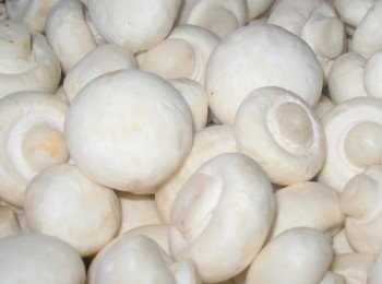 step1: 先將白磨菇用廚紙輕抹走表面的灰塵並切成薄片狀備用