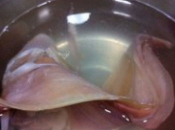 step2: 鱿鱼温水提早泡制好备用。