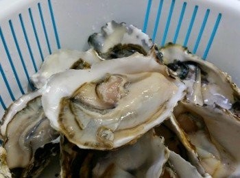 step1: 蠔解凍洗淨用廚紙索乾水份