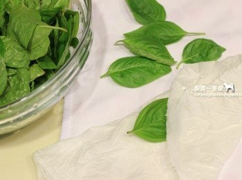 step1: 甜羅勒洗淨擦乾or晾乾。