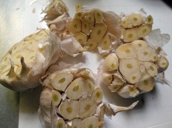 step2: 大蒜粒切約一半掉(去掉蒂頭在一點)去掉的蒂頭別浪費；切片用少許橄欖油炸成蒜片備用。