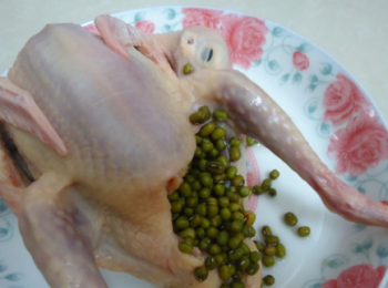 step2: 將全部綠豆塞進鴿子的肚子裡面。