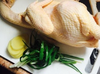 step1: <a href="https://bit.ly/3kLFTWO" target="_blank" data-keyword="雞腳" class="guide-link"><strong>雞腳</strong></a> <span style="display:inline-block;vertical-align:middle;margin-top:-3px;color:initial;border-radius:3px;padding:2px 3px;font-size:12px;line-height:14px;background:#87d300;color:#fff;">即買</span> 從雞肚中拔出，將雞內外洗淨。葱整棵洗淨後打成結。