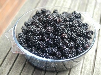 step1: 先將水果洗淨去皮，切小塊，下糖及檸檬汁拌勻 （如用蘋果，加一至兩小匙肉桂粉拌勻）放入大烤盤內