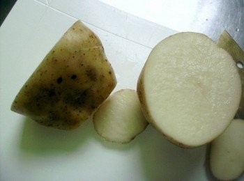 step2: 馬鈴薯對半切，在底部切平口讓馬鈴薯能立起，接著用電鍋蒸熟。