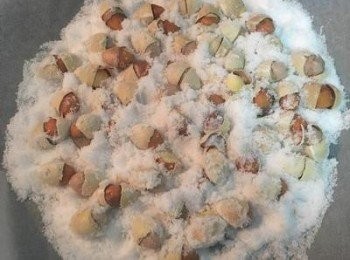 step4: 將裂開的白果插入鹽裡,進烤箱180度烤20分鐘即可。