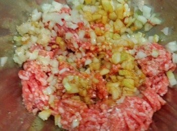 step4: 洋蔥切成細末,然後將所有<span class="group_2">肉餡</span>材料混合在一起.