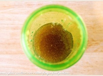 step3: 將黑木耳養生露取代水，直接倒入在果汁機中。