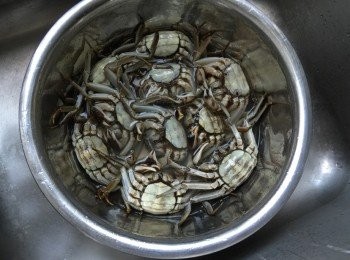 step3: 清洗乾淨的大閘蟹倒入白酒浸泡，讓蟹醉一下，蟹醉死之後用沖洗一下。