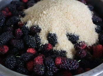 step2: 挑選洗完的新鮮桑葚灑上紅砂糖，至於份量依可以包覆桑葚為主。