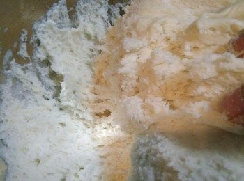 step5: 發好之後的蜂窩狀。