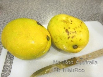 step1: 材料好簡單:
首先, 你要有澳洲芒果     2個 
跟住, 鮮奶(個人覺得澳洲或日本鮮奶都好味)  500 ML
糖(子華教落, 要加的糖, 先可以勺到的甜味出來嘛)  40G
魚膠粉        12G
熱水(溶晒魚膠粉即可)      約50G