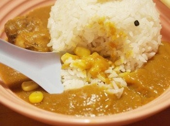 step13: 將蔬菜一同打入咖哩內吃起來好濃郁好香濃，

不愛吃紅蘿蔔的人也能輕鬆入口、很營養的吃法 ❤

雞腿肉也燉煮的非常軟嫩，輕輕一咬肉都開了而且很有咖哩味。