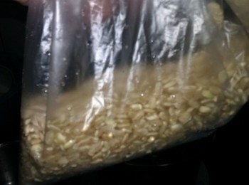step1: 前一晚先將糙米取約半碗量(1人份)，沖洗後泡水至隔天