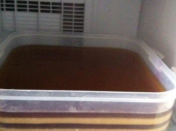 step4: 取出燕菜模型，盒子都可以。
一層椰漿燕菜倒入，待凝固然後倒入原味。。一直重複到做完為止。