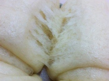 step4: 預熱蒸爐，把第2次發酵完畢的饅頭送進蒸爐，以中火蒸25分鐘左右即可