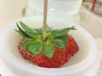 step5: 跟住倒入半個圓模中，用一支牙籤拮在士多啤梨底部中央固定位置，以免浮起同轉變