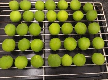 step3: 洗淨後用廚紙抹乾,再自然風乾兩三小時。