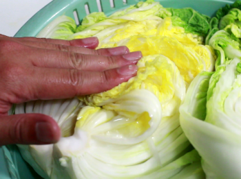 step4: 在出水的過程, 不用把白菜搬來搬去, 只需把出來的菜汁倒到大碗中, 再澆回白菜上就可以了。在4小時中, 約澆4次, 大白菜就會軟化。