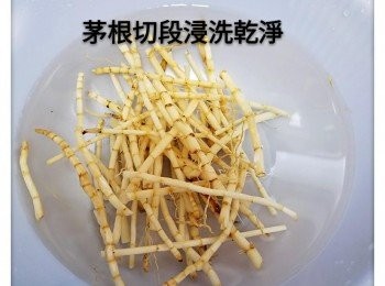 step2: 茅根切段浸洗乾淨