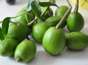 step1: 將鮮橄欖用水沖洗乾淨