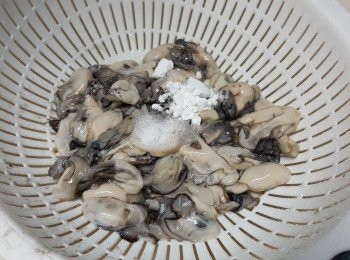 step4: 蠔仔加入1茶匙鹽及1茶匙生粉將蠔仔不停轉圈,轉出黑色污濁物,再沖洗乾淨待用