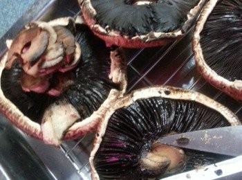 step1: 大菇洗淨抹乾水份,剪去中間硬身部份,將硬身部份剪碎留起備用