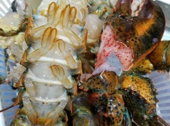 step2: 先將龍蝦身放滾水中，灼2-3分鐘，撈起放冰水，以便脫殼。再放蝦鉗，灼5分鐘，再放冰水。慢慢去殼，蝦肉留用，水亦都要留起做湯底。