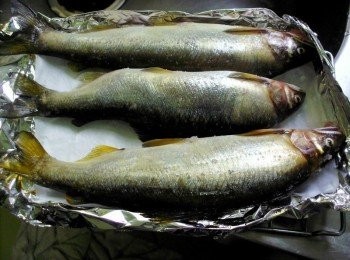 step2: 烤箱預熱至250℃後，將魚鋪上烘烤紙(防魚皮沾黏) 放入烤架上~以250℃烤約12分鐘。